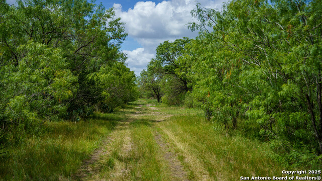 Details for 72+-- Acres Cr. 215, McCoy, TX 78113