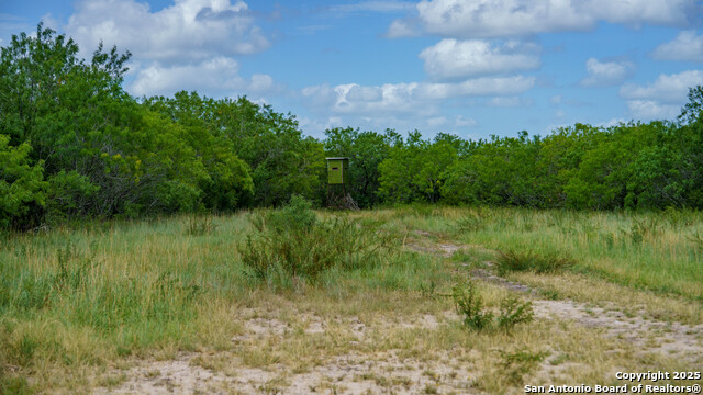 Image 11 of 16 For 72+-- Acres Cr. 215