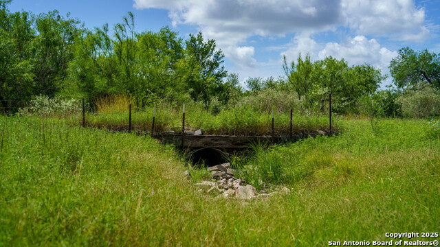 Image 12 of 16 For 72+-- Acres Cr. 215