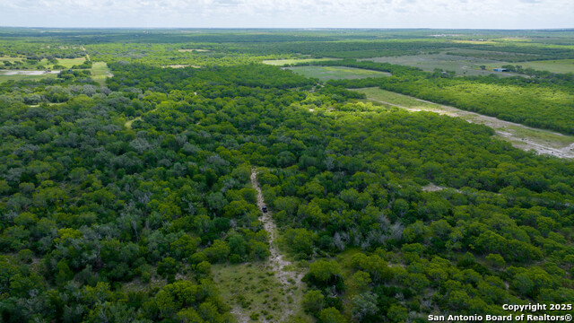 Image 14 of 16 For 72+-- Acres Cr. 215