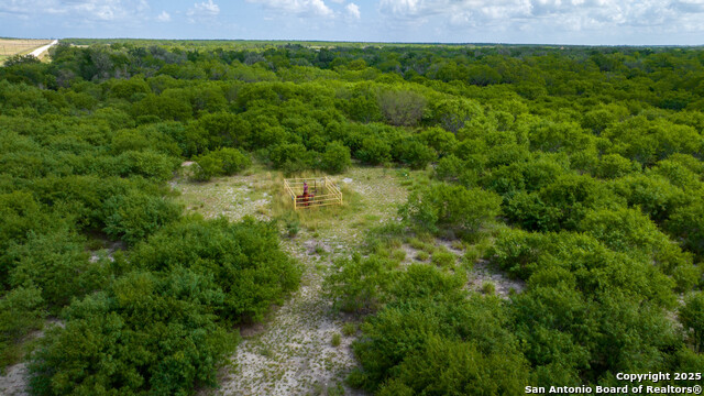 Image 16 of 16 For 72+-- Acres Cr. 215