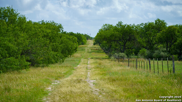 Image 3 of 16 For 72+-- Acres Cr. 215
