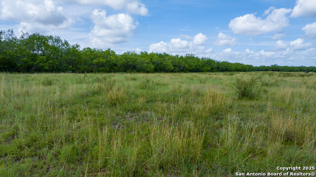 Image 4 of 16 For 72+-- Acres Cr. 215