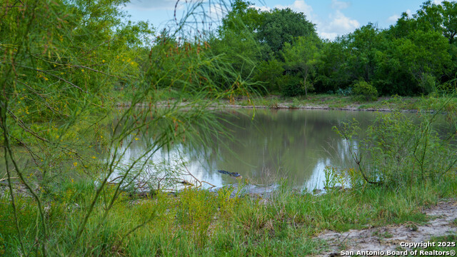 Image 5 of 16 For 72+-- Acres Cr. 215