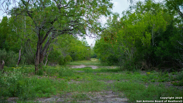 Image 7 of 16 For 72+-- Acres Cr. 215