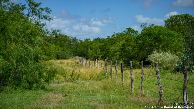 Image 8 of 16 For 72+-- Acres Cr. 215