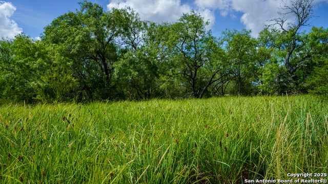 Image 9 of 16 For 72+-- Acres Cr. 215