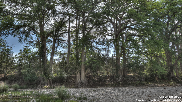 Image 11 of 39 For 154 Weston  