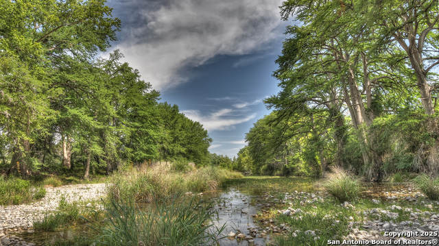 Image 12 of 39 For 154 Weston  