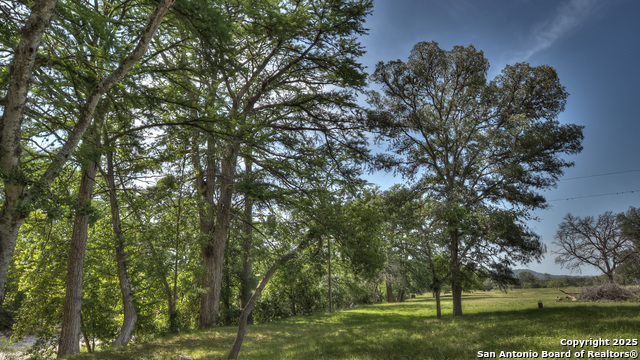 Image 6 of 39 For 154 Weston  