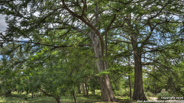 Image 7 of 39 For 154 Weston  