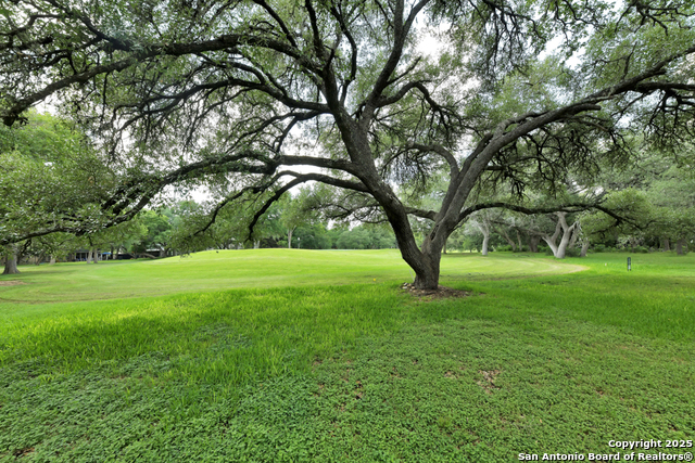 Listing photo id 26 for 16 Westwood  