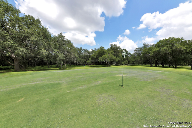Listing photo id 29 for 16 Westwood  