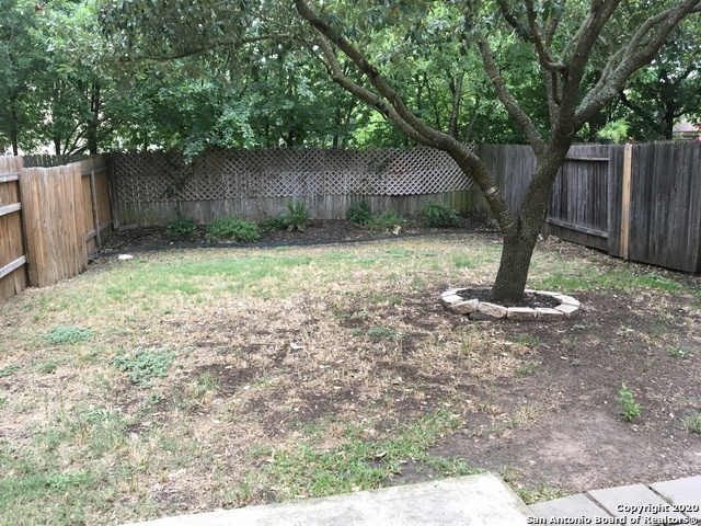 Image 19 of 21 For 6728 Terra Rye