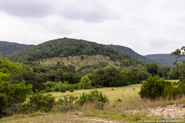 Listing photo id 5 for 1616 Mickle Creek