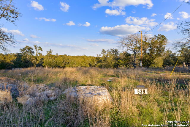 Image 10 of 31 For 539 Clay Ridge