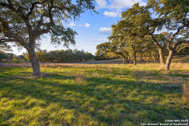 Image 23 of 31 For 539 Clay Ridge