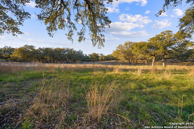 Image 7 of 31 For 539 Clay Ridge