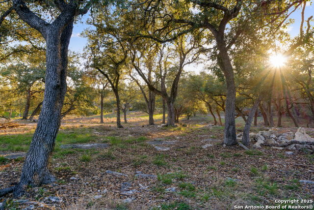 Image 8 of 31 For 539 Clay Ridge