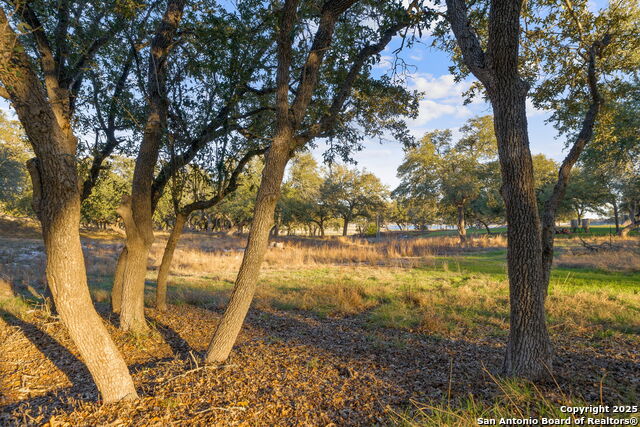 Image 9 of 31 For 539 Clay Ridge