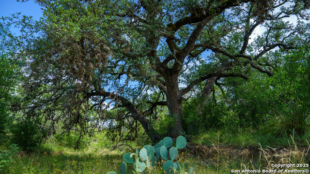 Listing photo id 8 for 1231 B & R Road