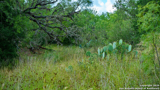 Listing photo id 11 for 1231 B & R Road