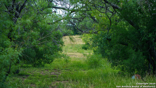 Listing photo id 12 for 1231 B & R Road