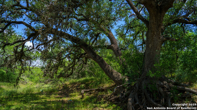 Listing photo id 22 for 1231 B & R Road