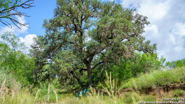 Listing photo id 7 for 1231 B & R Road