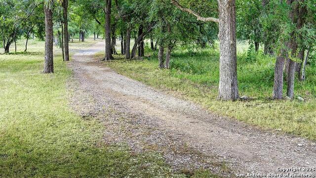 Image 9 of 17 For 12640 Cotorra Springs