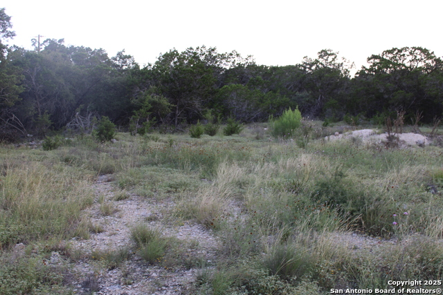 Image 4 of 6 For 2025 Fuller Dr.