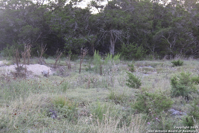 Image 5 of 6 For 2025 Fuller Dr.