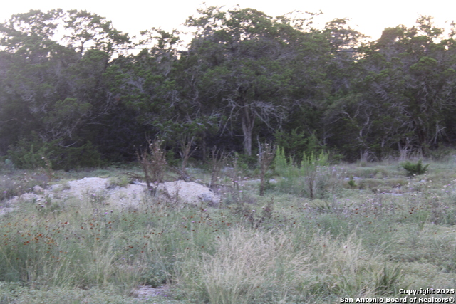 Image 6 of 6 For 2025 Fuller Dr.