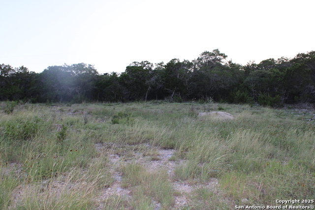 Listing photo id 1 for 2041 Fuller Dr.