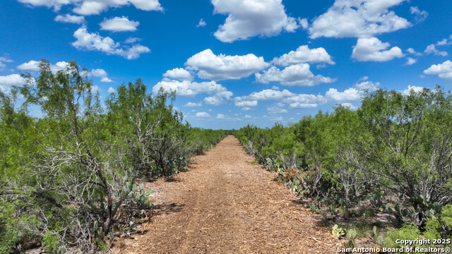 Image 2 of 8 For 000 Old Fowlerton Rd