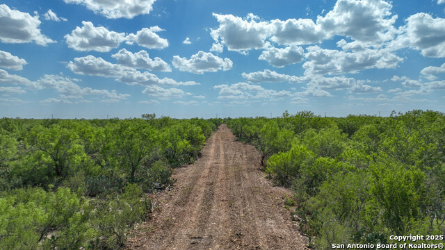 Image 3 of 8 For 000 Old Fowlerton Rd