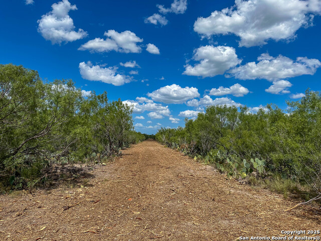 Image 6 of 8 For 000 Old Fowlerton Rd