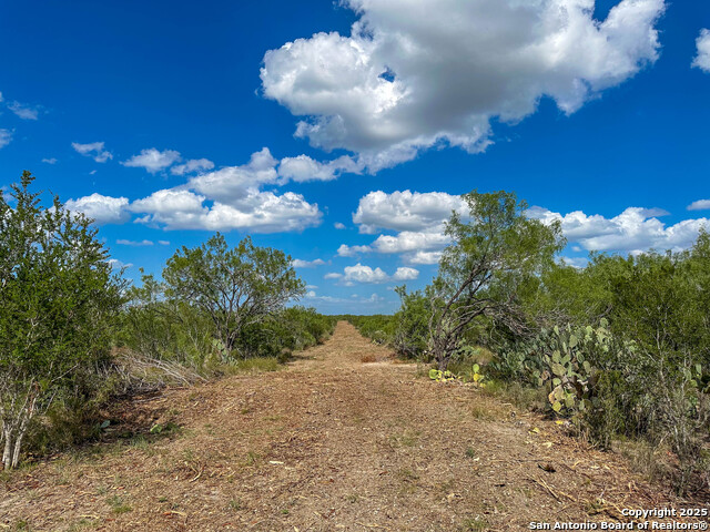 Image 7 of 8 For 000 Old Fowlerton Rd