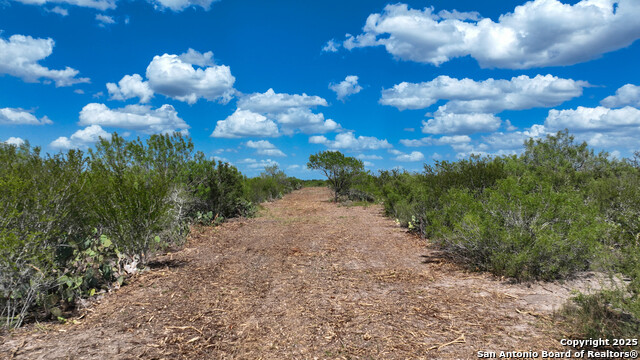 Image 8 of 8 For 000 Old Fowlerton Rd