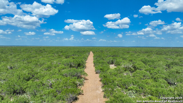 Details for 000 Cameron Ln, Fowlerton, TX 78021