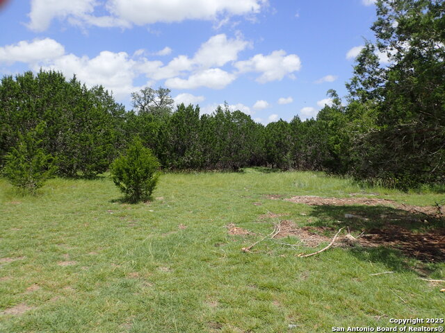 Details for 21 Tracie  , Lakehills, TX 78063