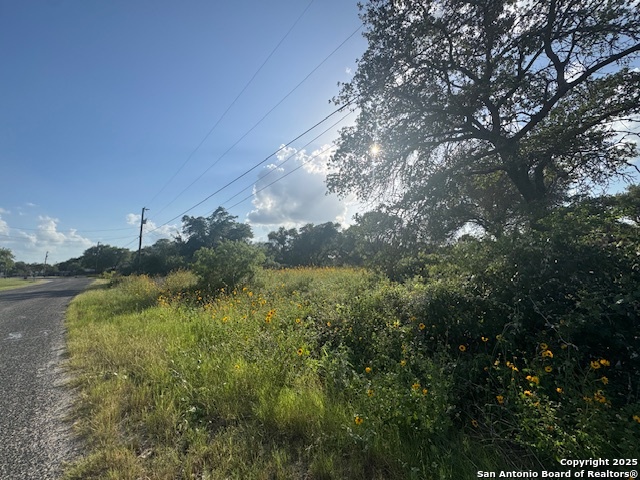 Details for 22711 Black Cherry, Elmendorf, TX 78112
