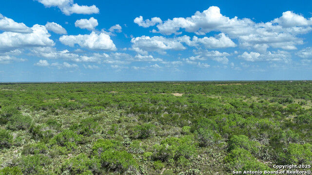 Image 15 of 16 For 0000 Cameron Ln