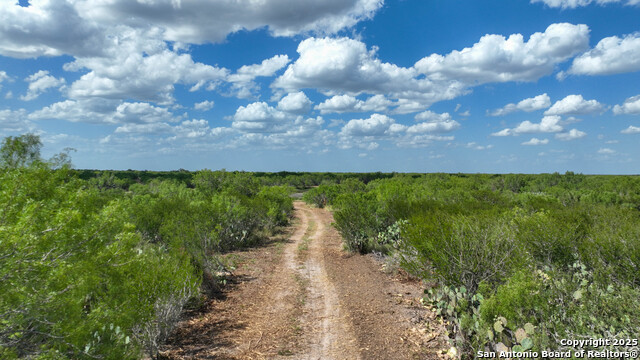 Image 8 of 16 For 0000 Cameron Ln