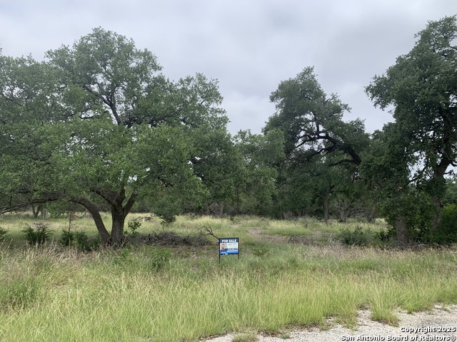 Details for 191 Indian Blanket, Spring Branch, TX 78070