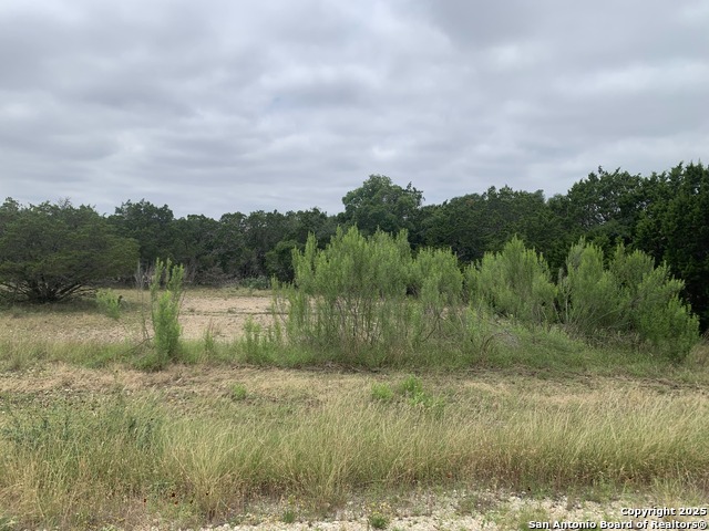 Image 3 of 4 For 611 Parkview