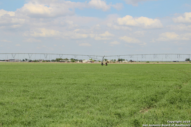 Listing photo id 25 for 1277 County Road 532