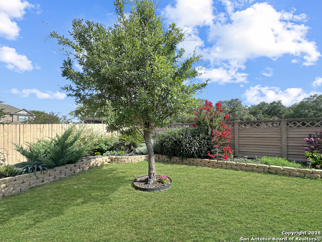 Image 3 of 43 For 104 Red Bud  