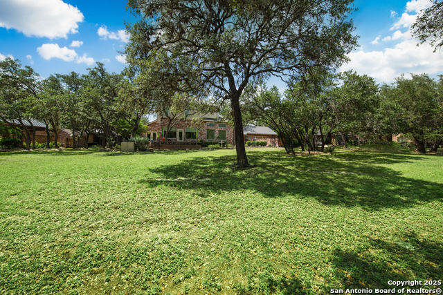 Image 44 of 50 For 4 Horns Cross