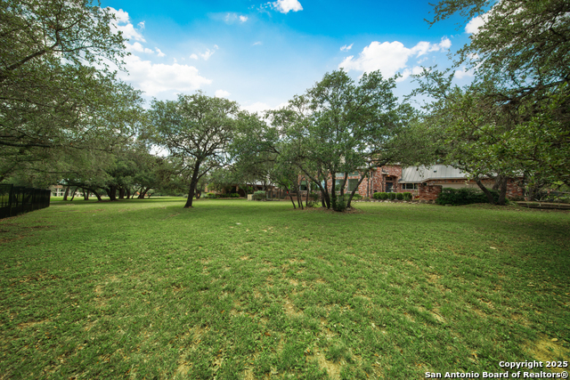 Image 46 of 50 For 4 Horns Cross